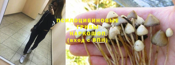 дживик Липки