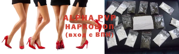 дживик Липки