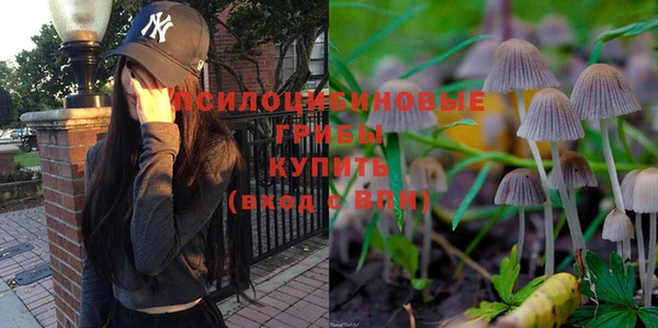 ГАЛЛЮЦИНОГЕННЫЕ ГРИБЫ Лихославль