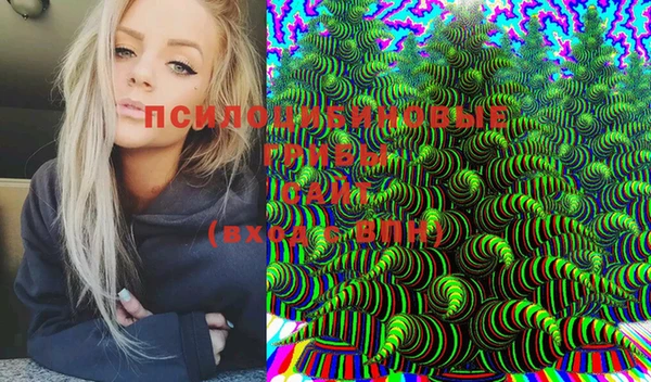 дживик Липки
