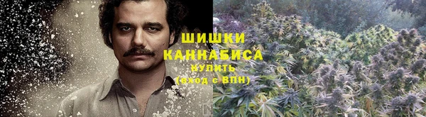 дживик Липки