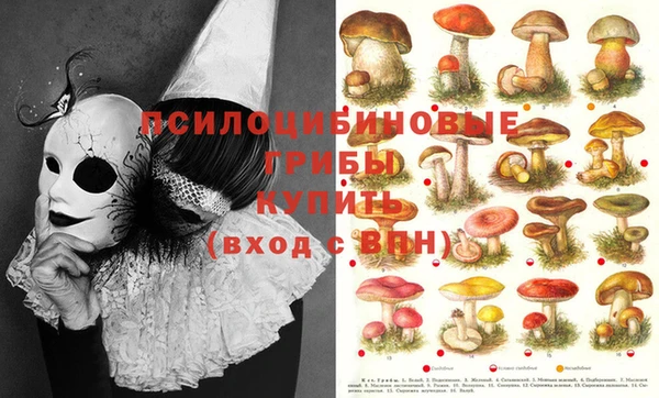 дживик Липки